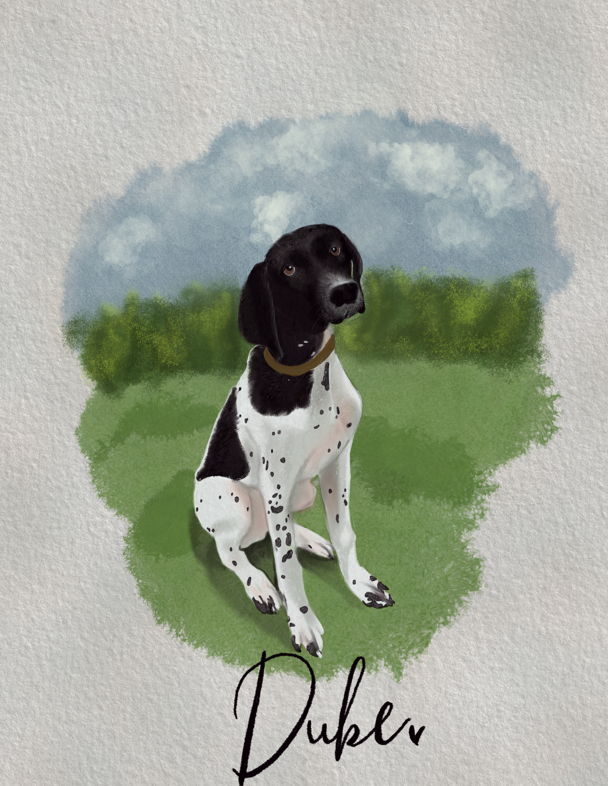 Pet Portrait